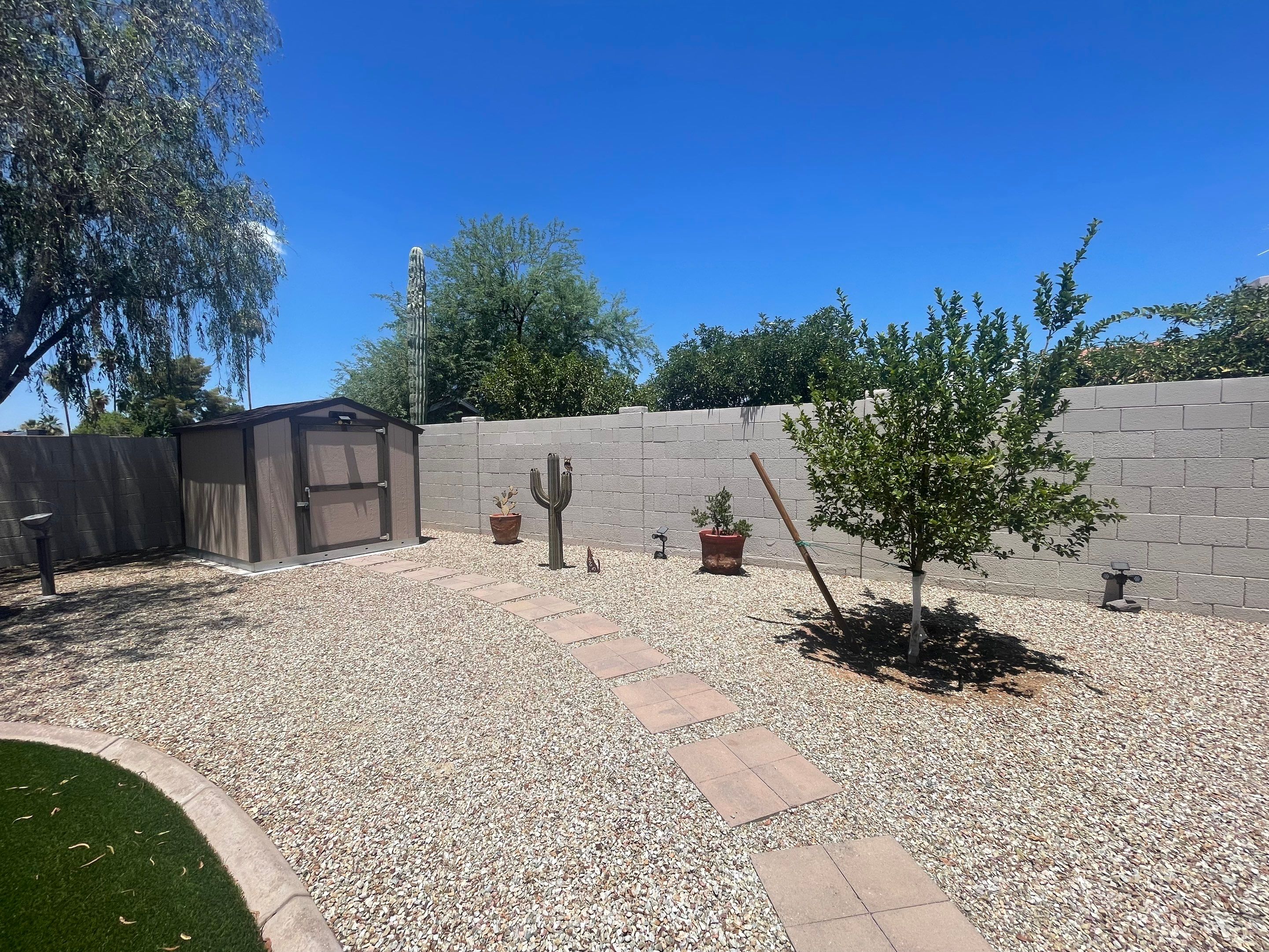 Backyard and shed exterior before painting